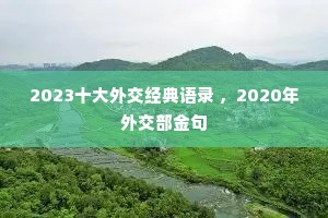 2023十大外交经典语录 ，2020年外交部金句
